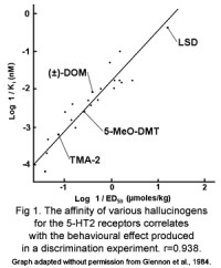 5-HT2 Receptor Affinity