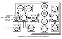 Image - cognitive-schematic.jpg