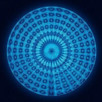 Image - mark-fischer-dolphin-song-wavelet.jpg
