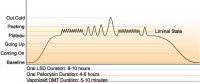 Image - metaboloic-tripping-curve.jpg