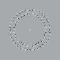 Image - pinna-illusion-image.jpg