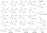 Receptorome Ligands